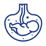 Obstetrícia