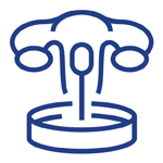 Ginecologia